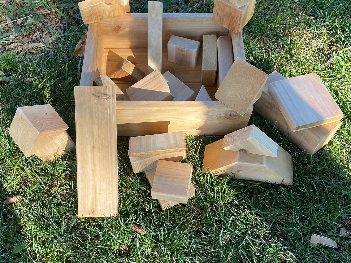 Blocks in a Box (20 Pieces)
