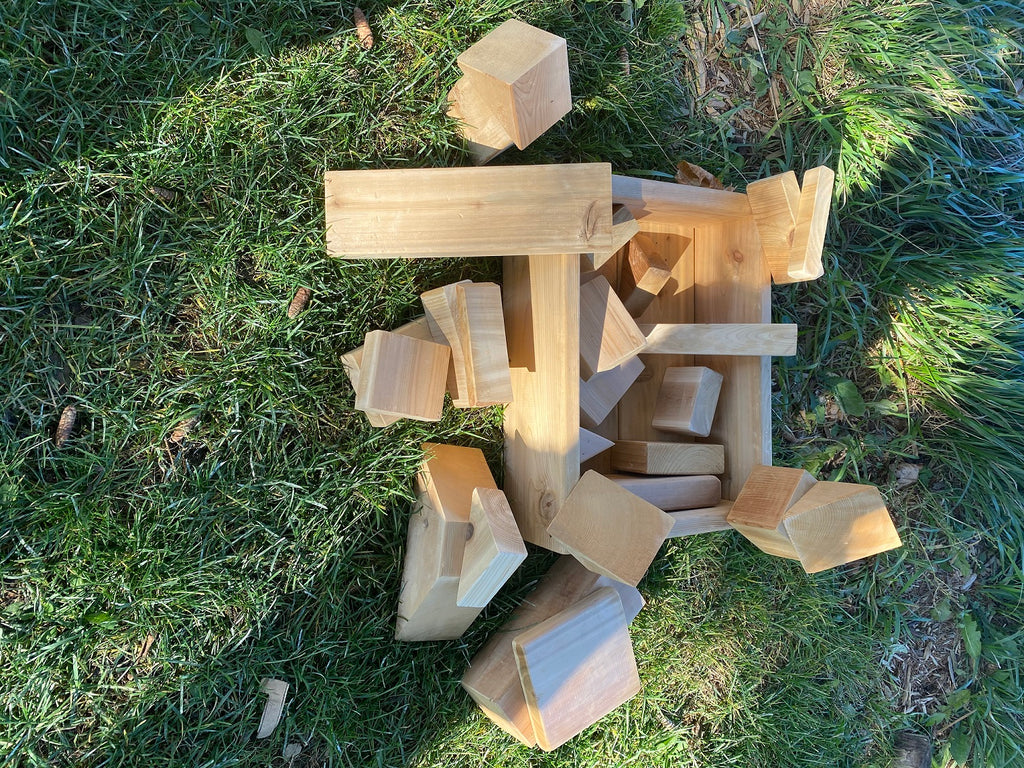 Blocks in a Box (20 Pieces)