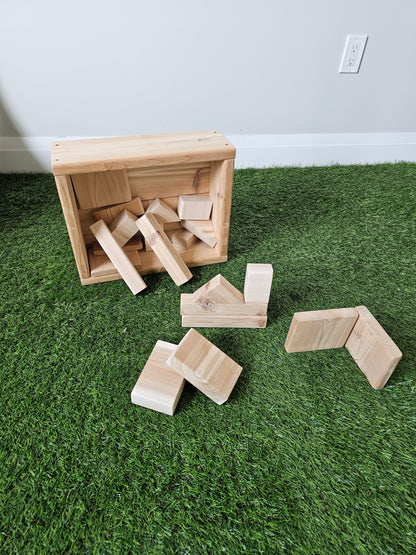Blocks in a Box (20 Pieces)