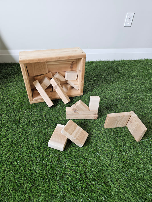 Blocks in a Box (20 Pieces)