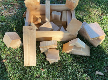 Blocks in a Box (20 Pieces)
